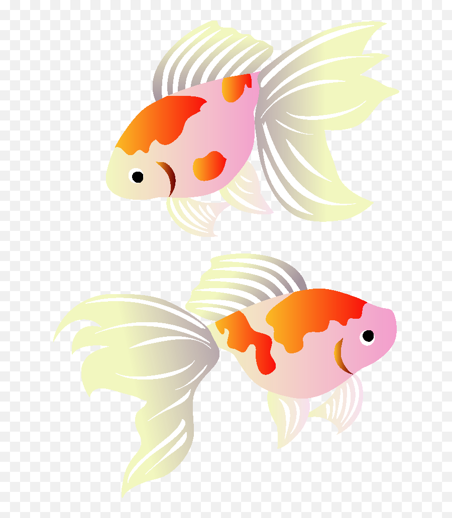 Download Koi Greeting Illustration Cards Goldfish Post Hq Emoji,Koi Png