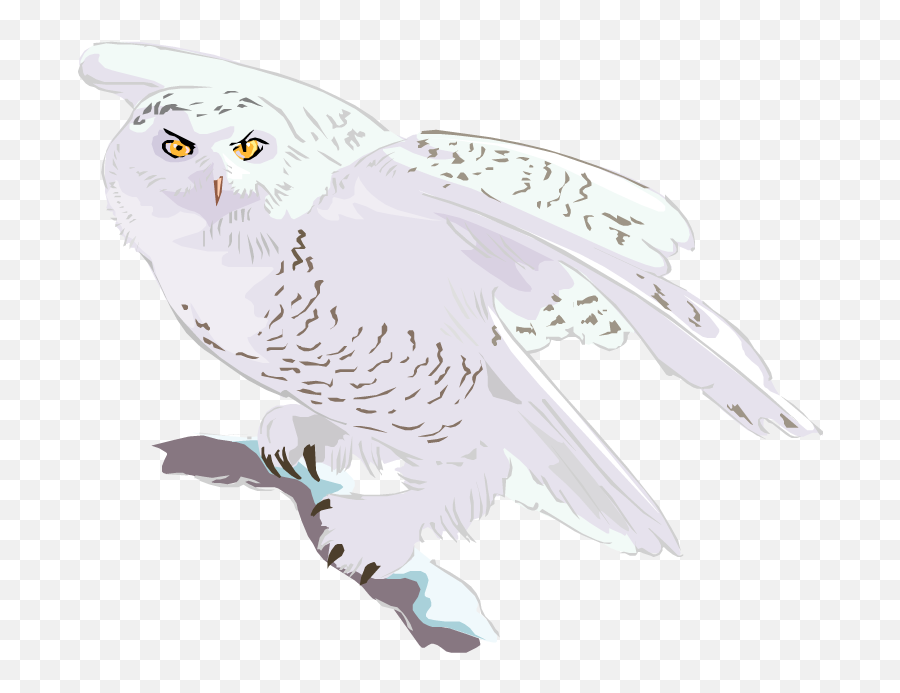 Flying Owl - Flying Transparent Snowy Owl Clipart Emoji,Flying Owl Clipart Black And White