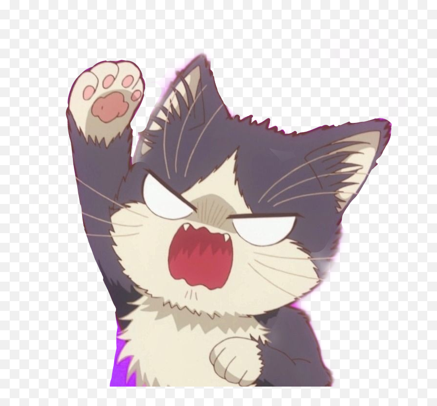 Reactionmeme Angrycat Sticker By Jojina Emoji,Slap Clipart