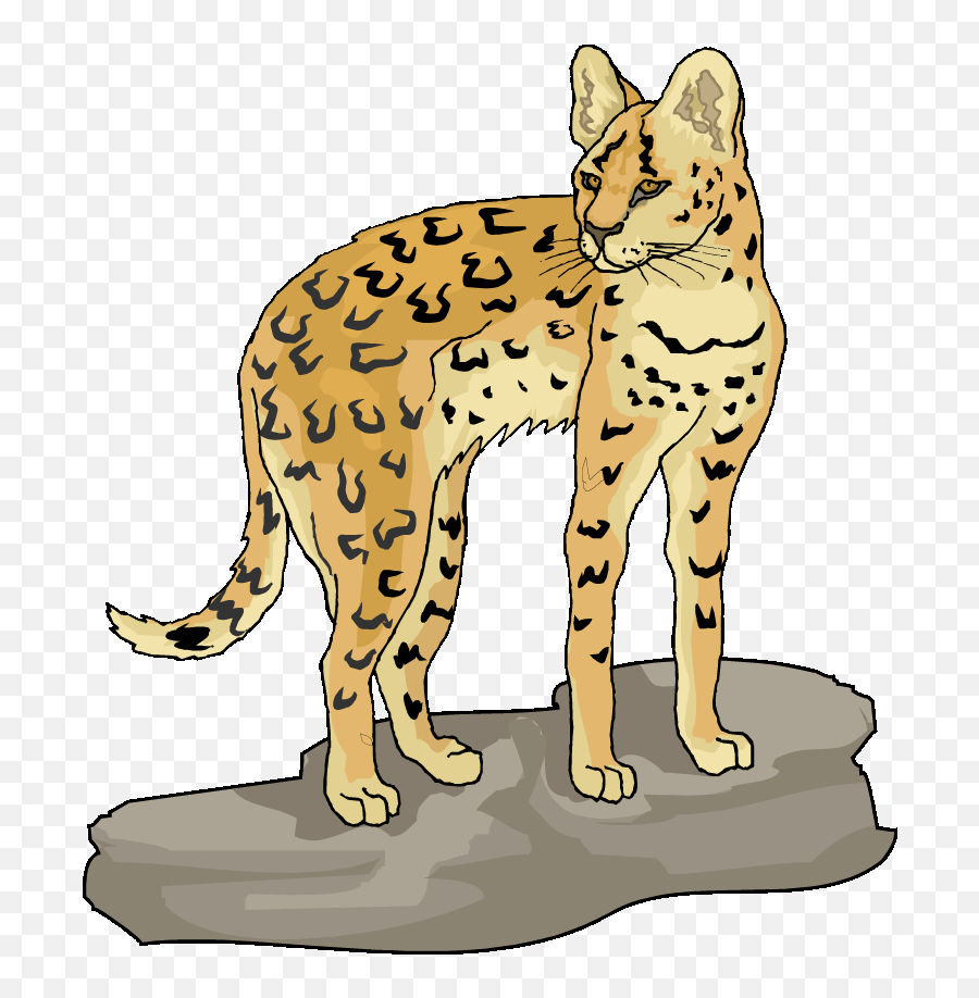 Bobcat Clipart Lynx Picture - Lynx Clipart Emoji,Bobcat Clipart