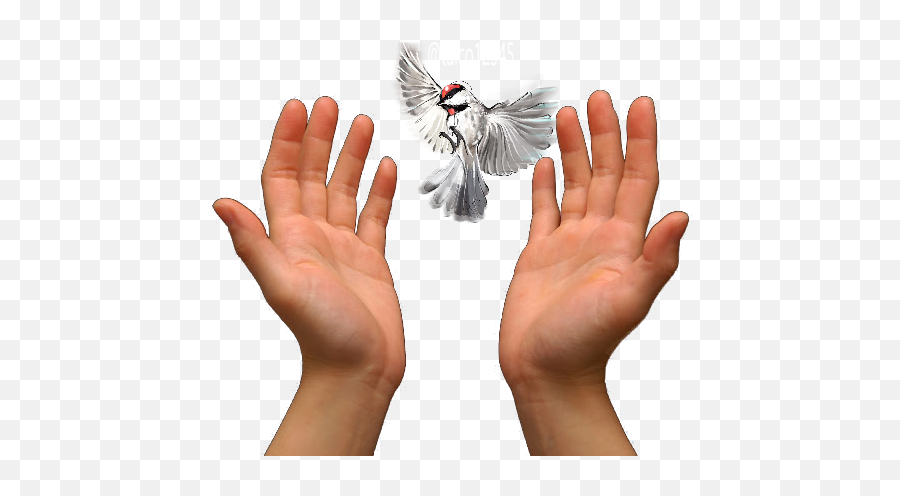 Praying Hands Prayer Love - Others Png Download 640425 Prayer Hands Png Emoji,Prayer Hands Clipart