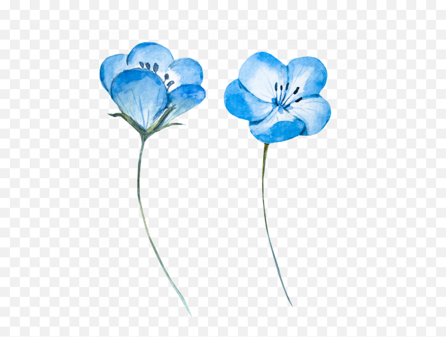 Flower Painting Clipart Transparent - Blue Sakura Flower Png Emoji,Painting Clipart