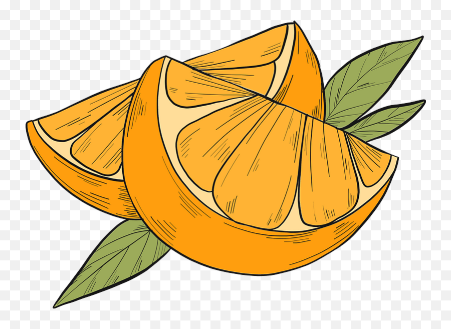 Orange Slices Clipart Emoji,Orange Slice Png