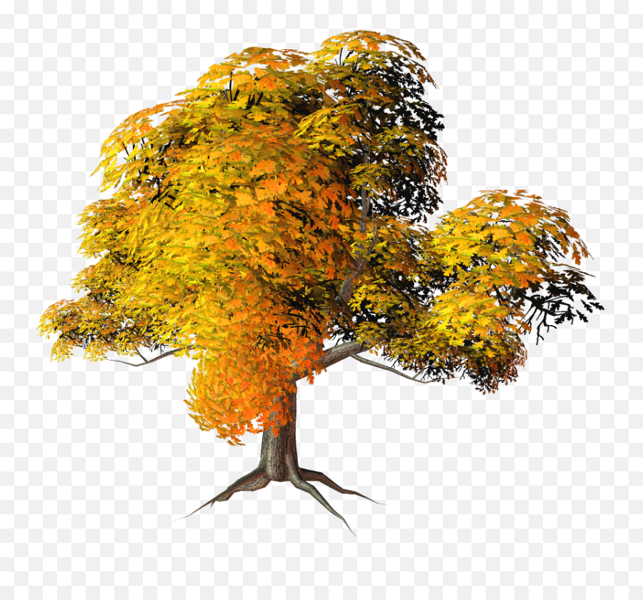 Tree Png Images Transparent Background - Transparent Background Tree Png Hd Emoji,Tree Png