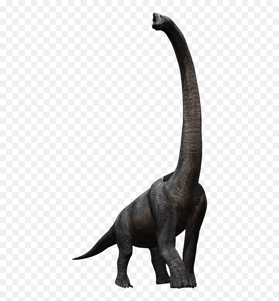 Download Hd Image Library Stock Brachiosaurus Drawing Emoji,Jurassic Park Logo Black And White