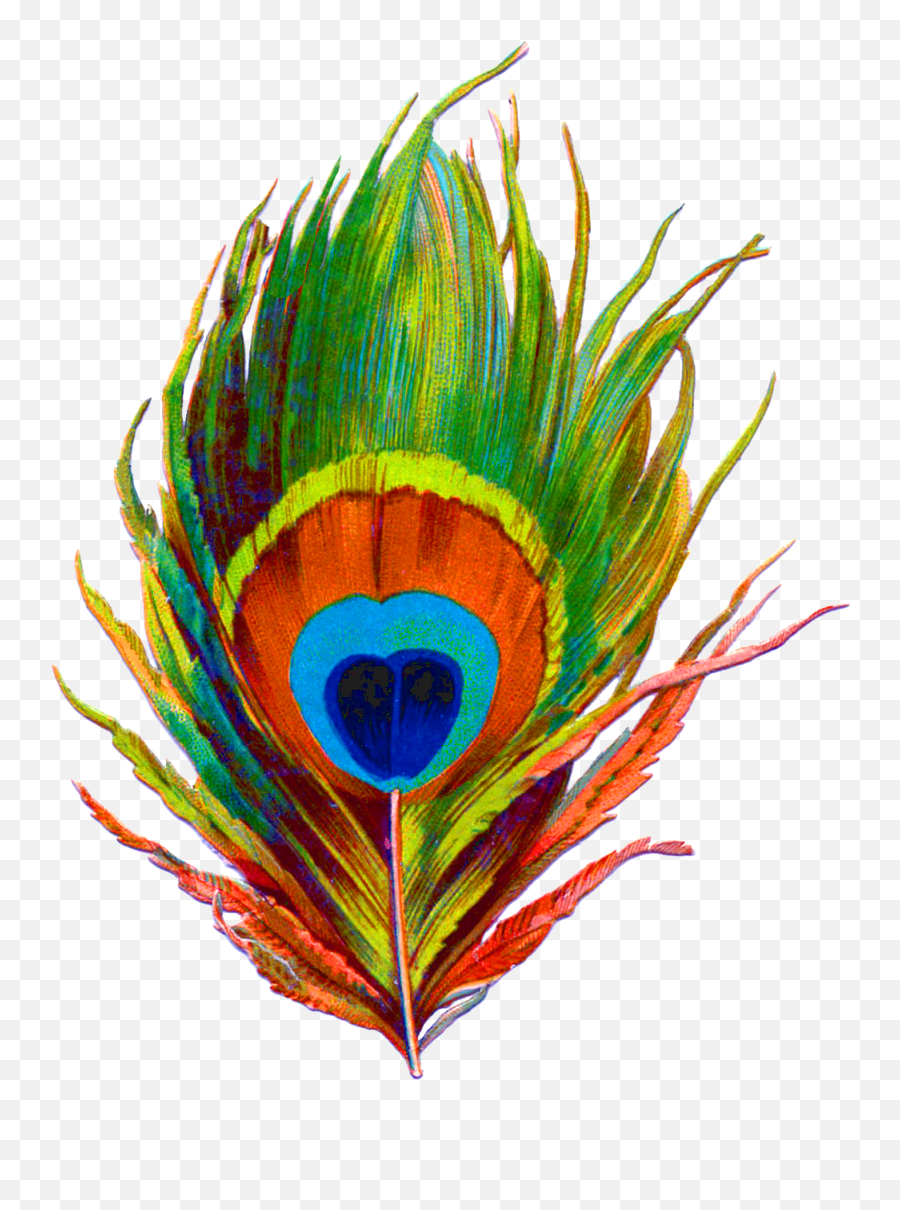Clipart Peacock Feather Png Emoji,Indian Feather Clipart
