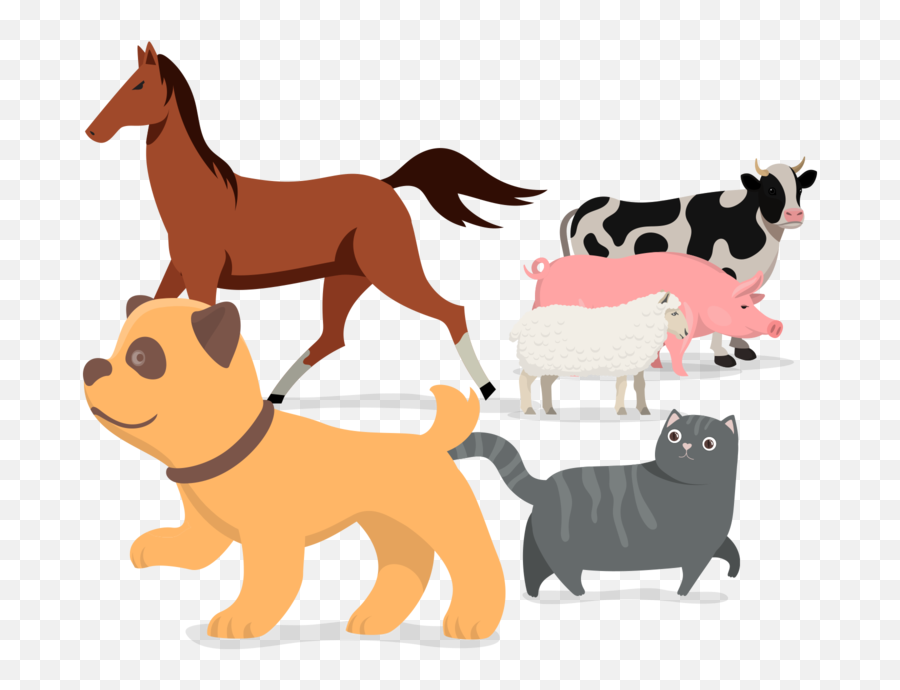 Micromed Dog Horse Cat U0026 Livestock Probiotic Treatments Emoji,Dog Treat Clipart