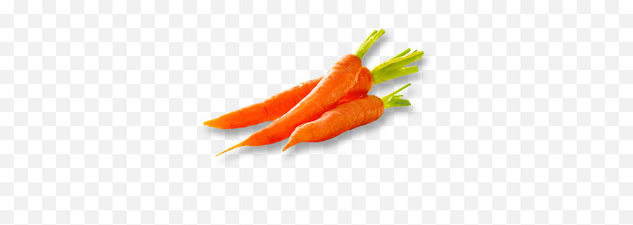 Carrot Cake Emoji,Carrot Transparent