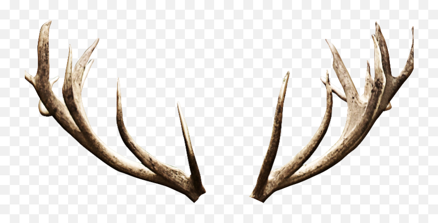 Antler Deer Image Editing - Deer Horns Png Emoji,Deer Png