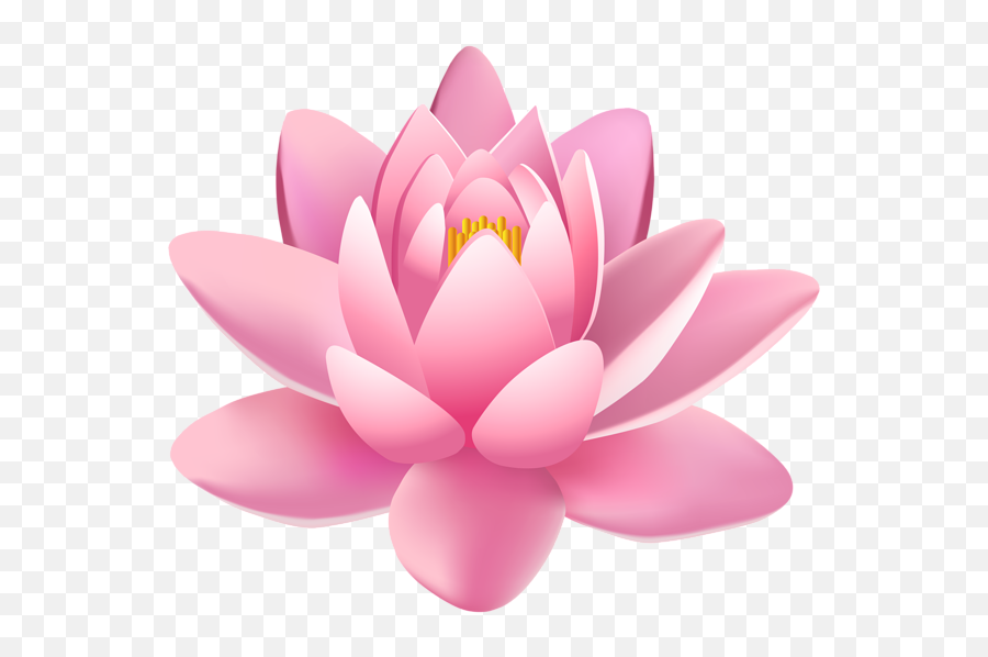 Lotus Flower Png - Fiore Di Loto Png Emoji,Lotus Flower Png
