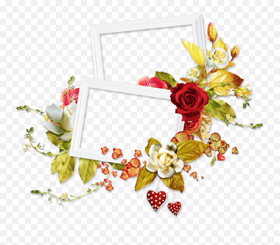 Rose Flower Frame Png - Picture Frame Emoji,White Flower Png