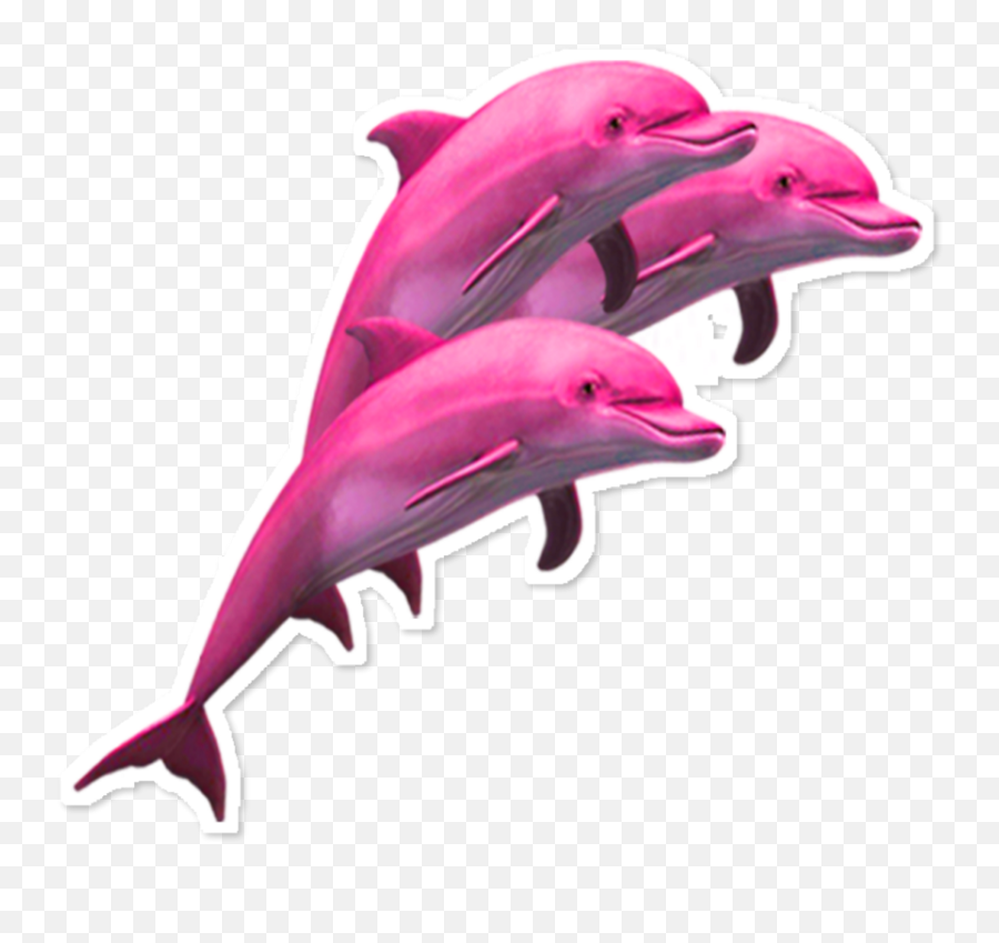 Ftestickers Scdolphin Dolphins Clipart Pink Aesthetic - Pink Dolphin Transparent Emoji,Dolphin Clipart