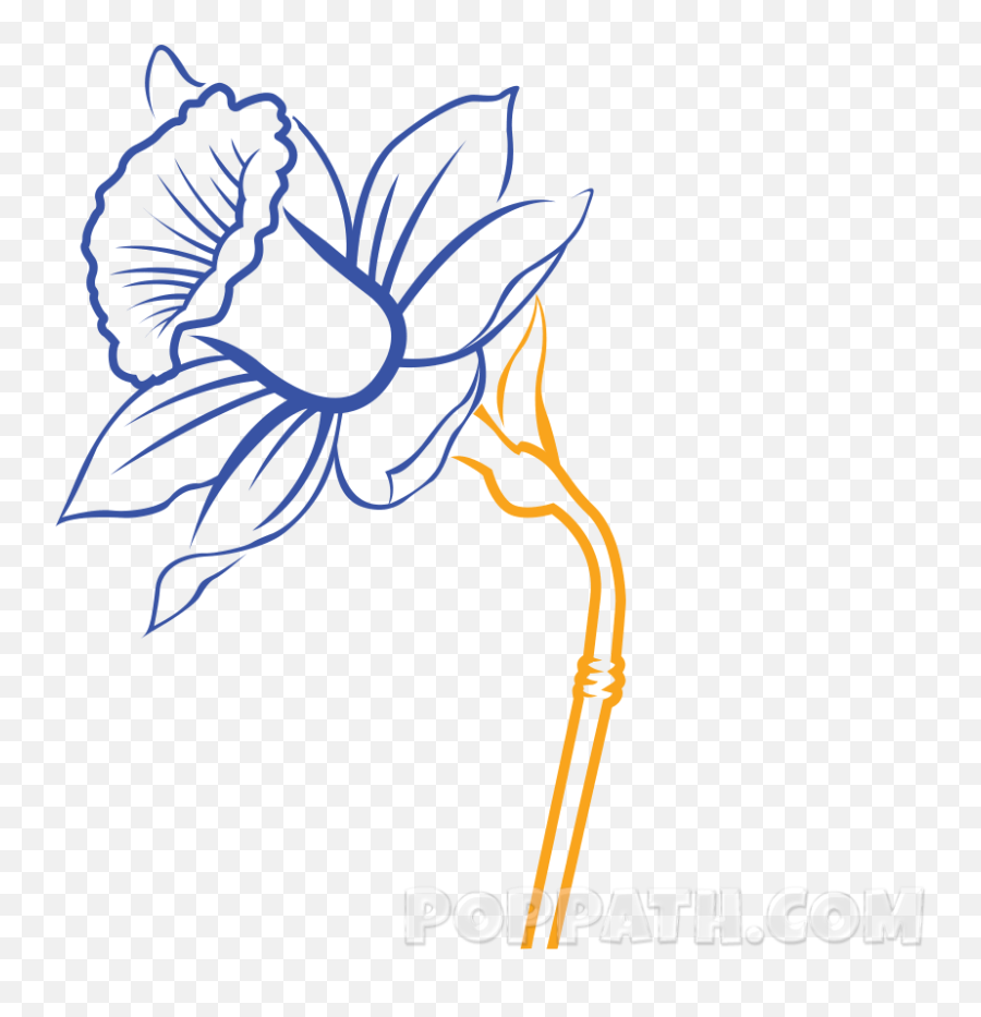 Transparent Daffodils Clipart - Daffodil Drawing Png Emoji,Daffodil Clipart
