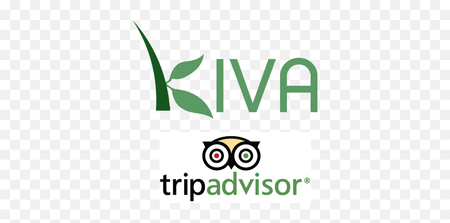 Download Kiva Tripadvisor - Trip Advisor Png Image With No Vertical Emoji,Trip Advisor Logo