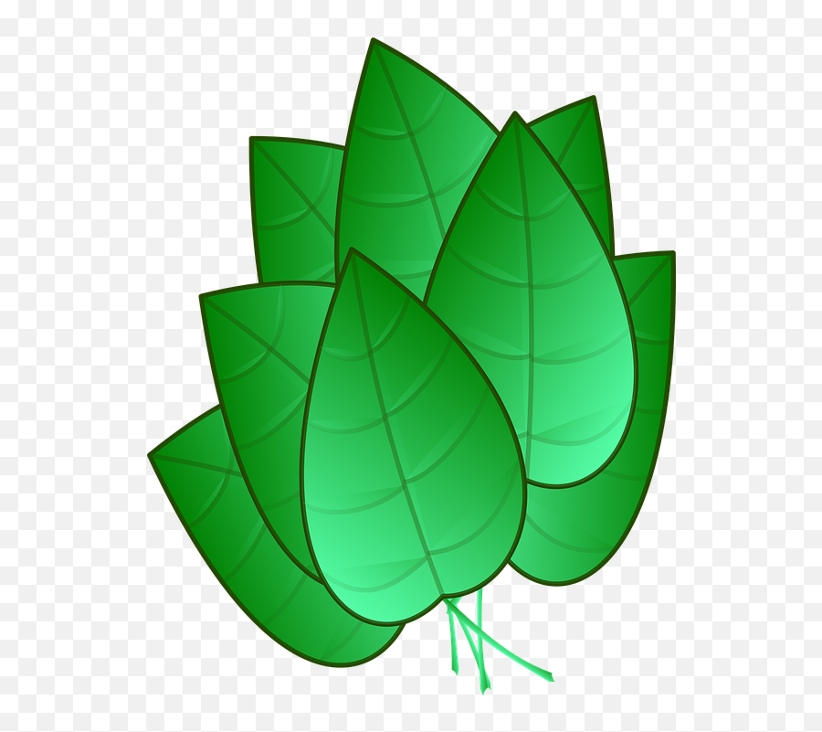 Download Hd Green Leaves Clipart Tobacco Leaf - Folhas Emoji,Green Leaf Clipart