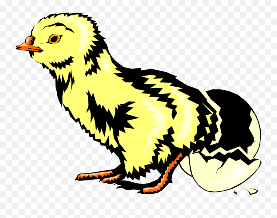 Baby Chick Hatching - Vector Image Emoji,Baby Chick Png