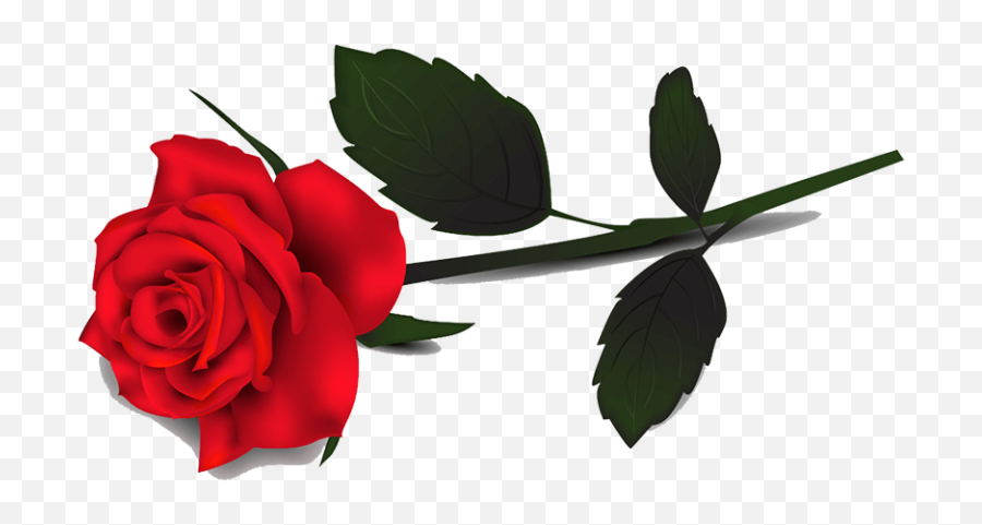 Pin - Transparent Rose Flower Png Emoji,Rose Transparent Background