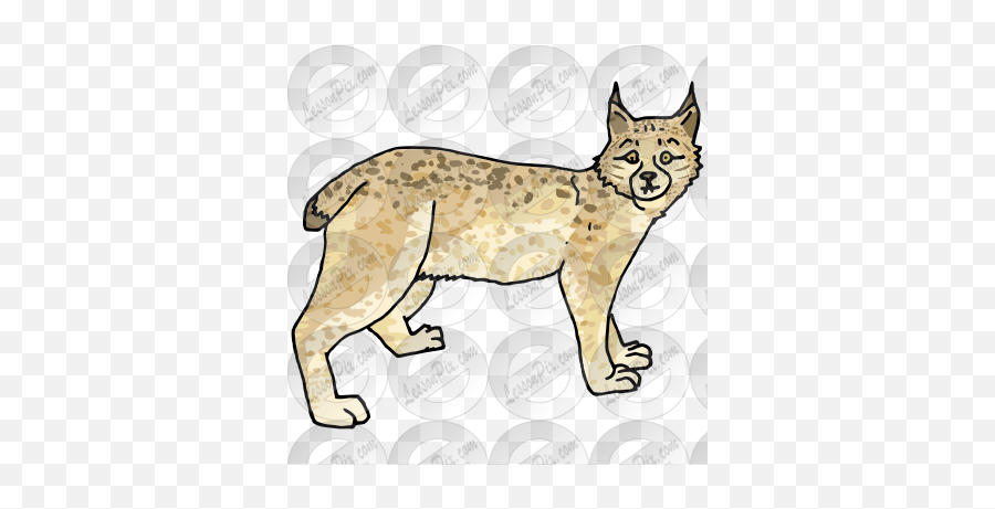 Lynx Picture For Classroom Therapy - Eurasian Lynx Emoji,Bobcat Clipart