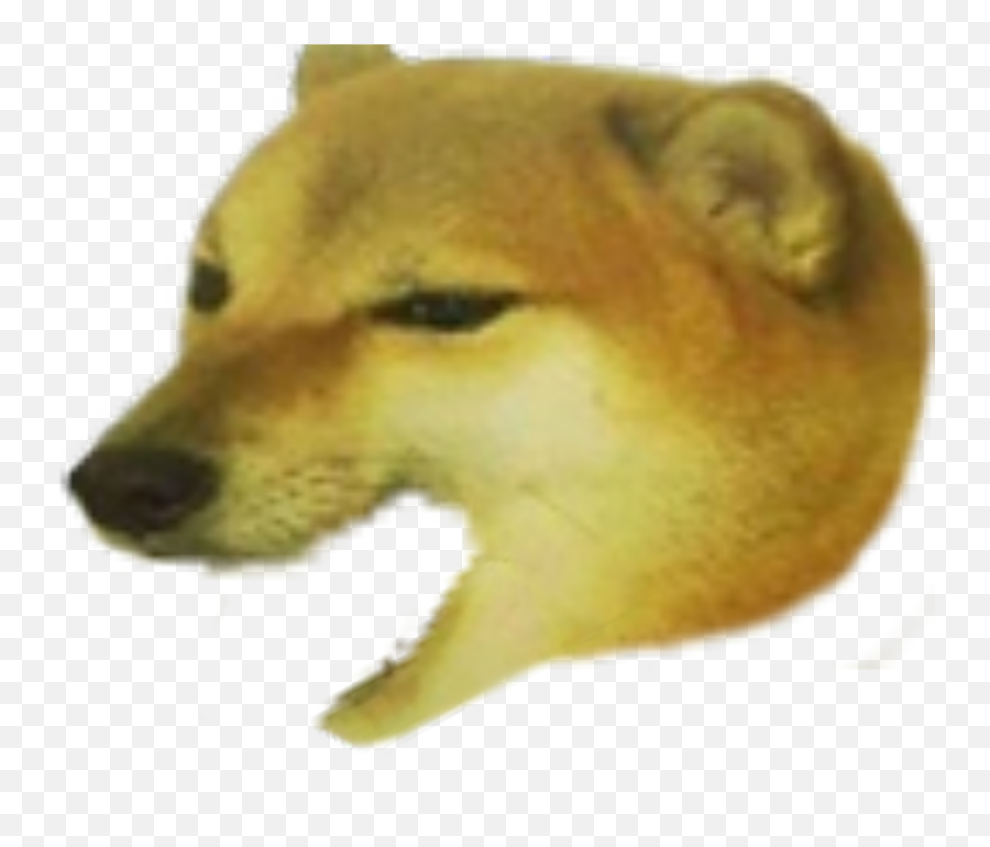 Cheemsburbger With His Mouth Open - Doge Open Mouth Png Emoji,Open Mouth Png