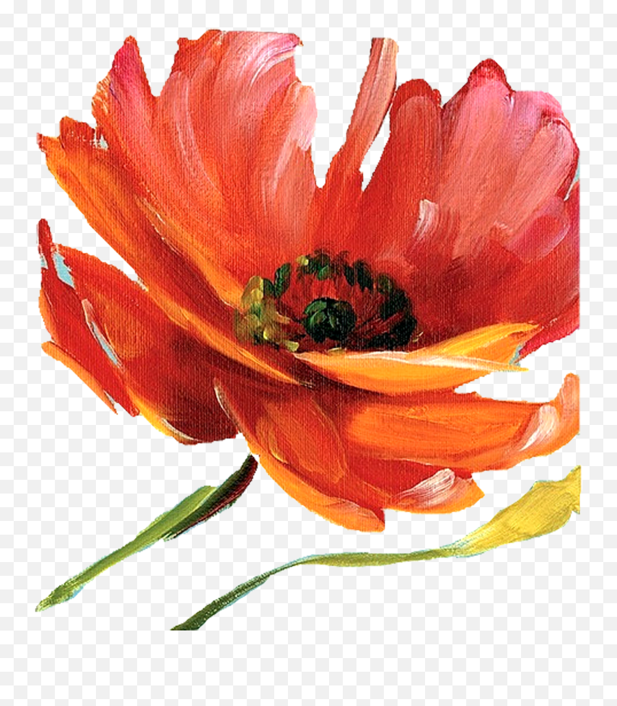 1600x1600 P Screen Painted Flowers V12 22543 Kb Emoji,Painted Flowers Png