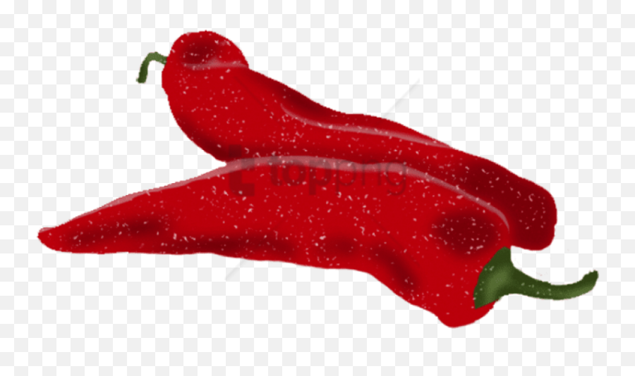 Download Red Pepper - Birdu0027s Eye Chili Png Image With No Emoji,Chili Pepper Logo