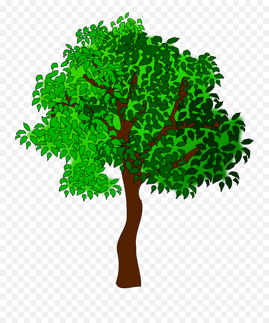 Clipart Trees Summer Season Clipart Trees Summer Season - Public Domain Free Tree Clipart Emoji,Seasons Clipart