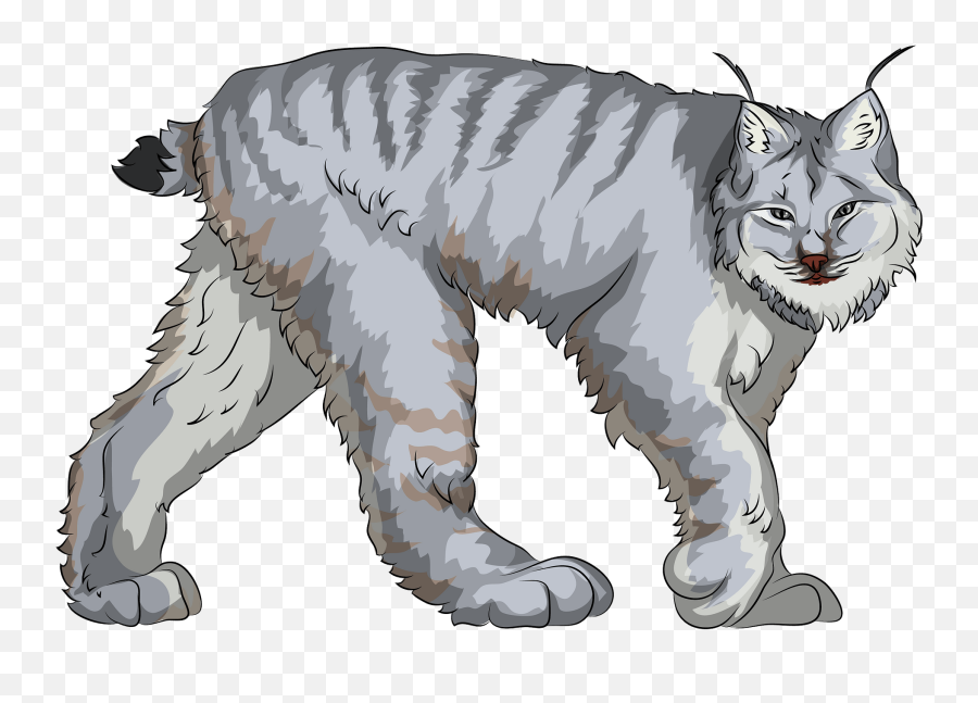 Canadian Lynx Clipart - Lynx Clipart Emoji,Bobcat Clipart