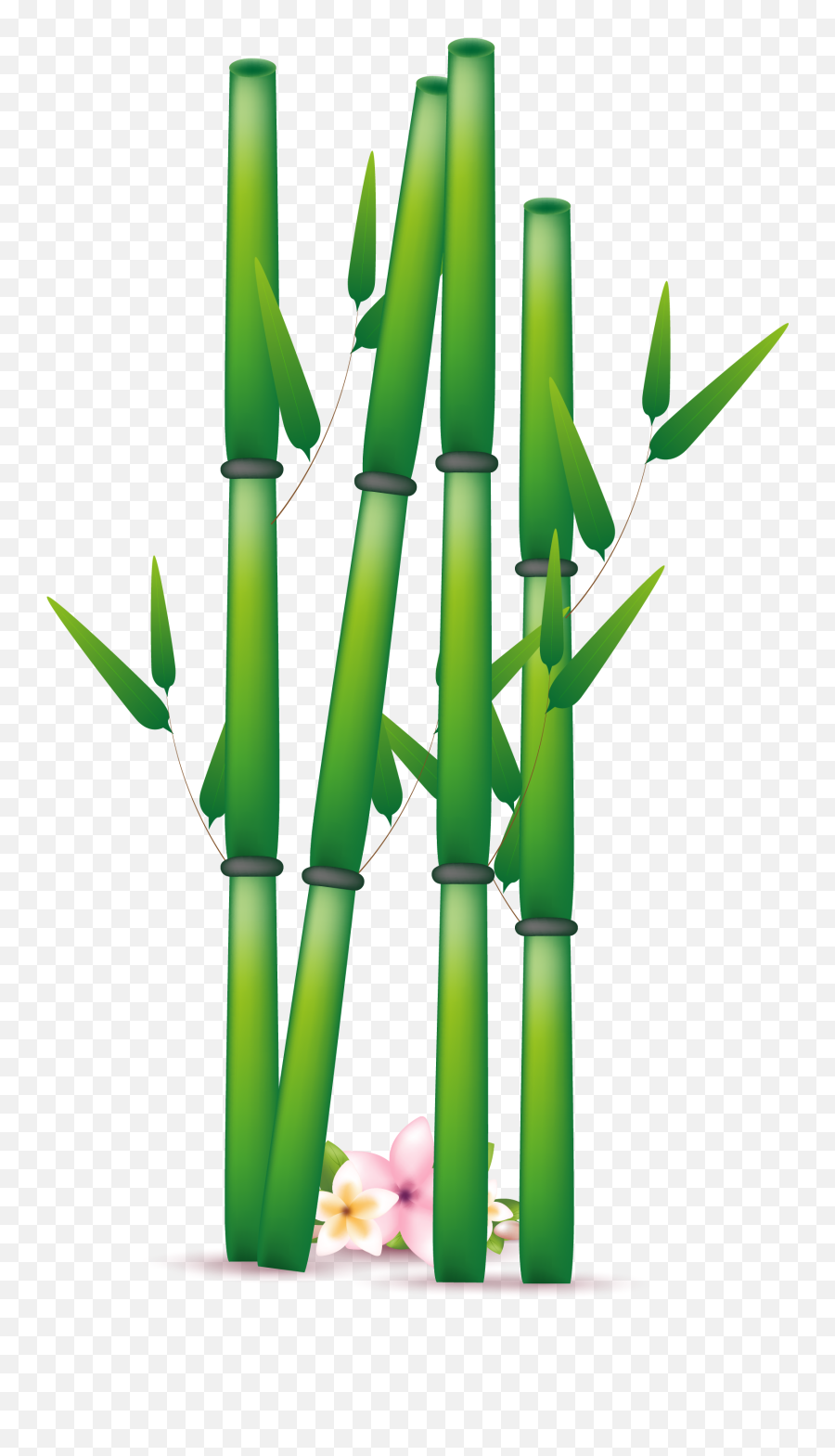 Bamboo Png Clipart Image 01 - Bamboo Png Emoji,Bamboo Clipart