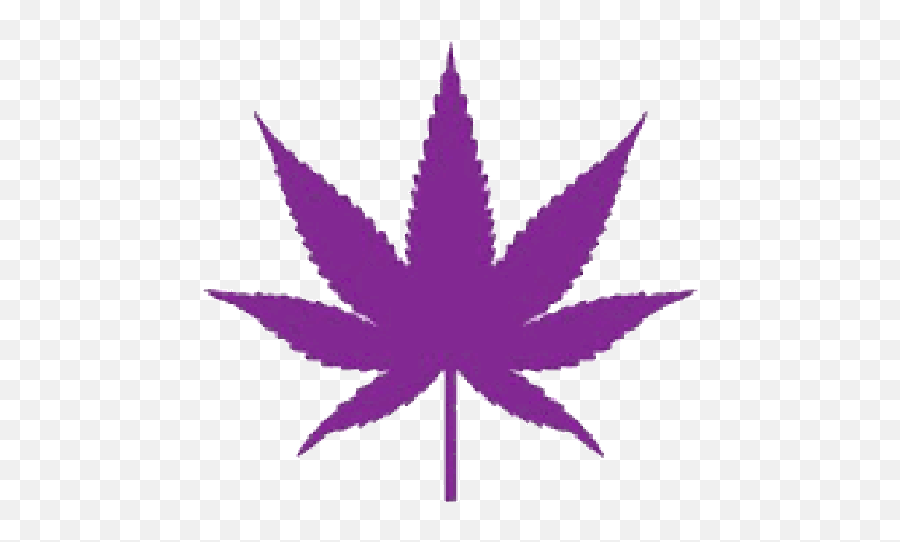 Find Local Marijuana Dispensaries Near You In Ventura County - Marijuana Leaf Silhouette Emoji,Marijuana Leaf Png