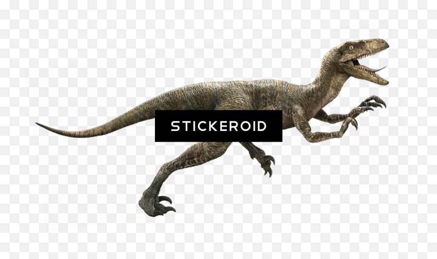 Jurassic World Velociraptor Png - Velociraptor Raptor Emoji,Velociraptor Png