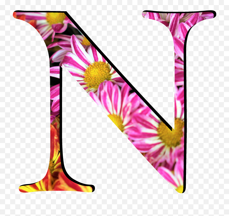 Flower Pattern Letters N - Flower Pattern Letters N Png Wikimedia Commons Emoji,Flower Pattern Png
