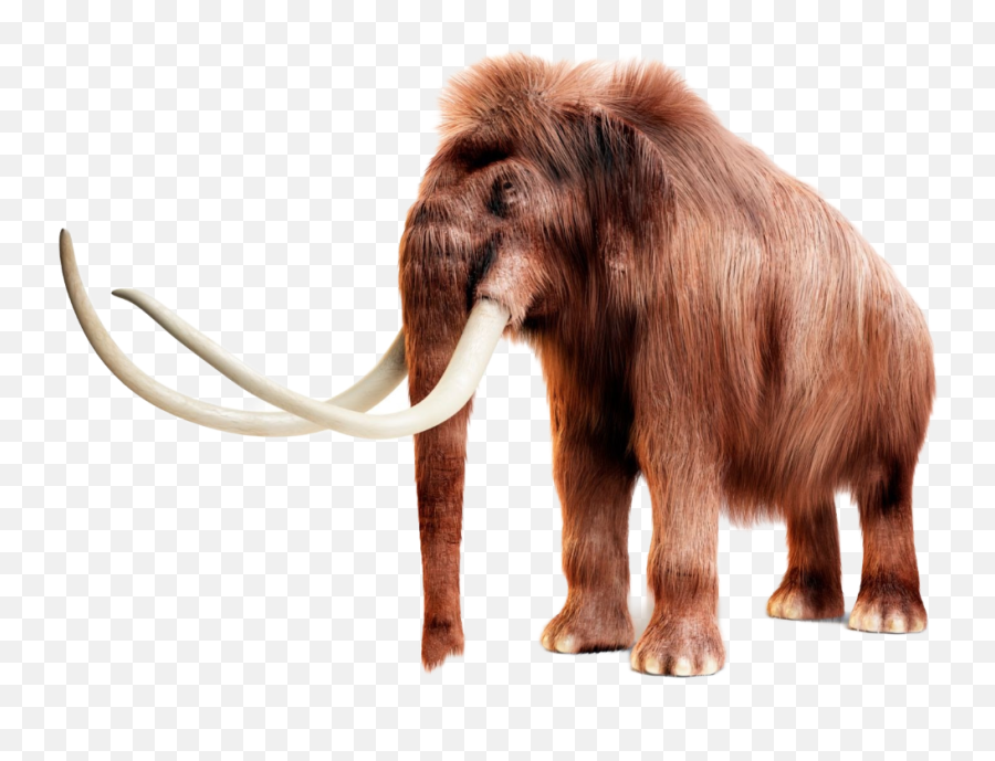 Mammoths - Clone Woolly Mammoth Emoji,Mammoth Png