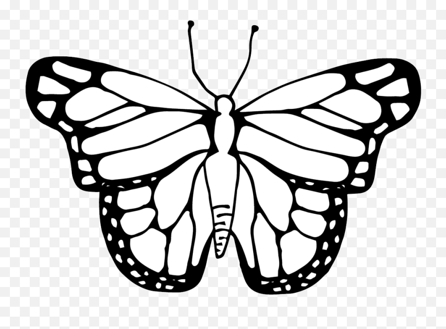 Clipart Butterfly Cycle Black And White - Butterfly And Caterpillar Clipart Black And White Emoji,Butterfly Clipart Black And White