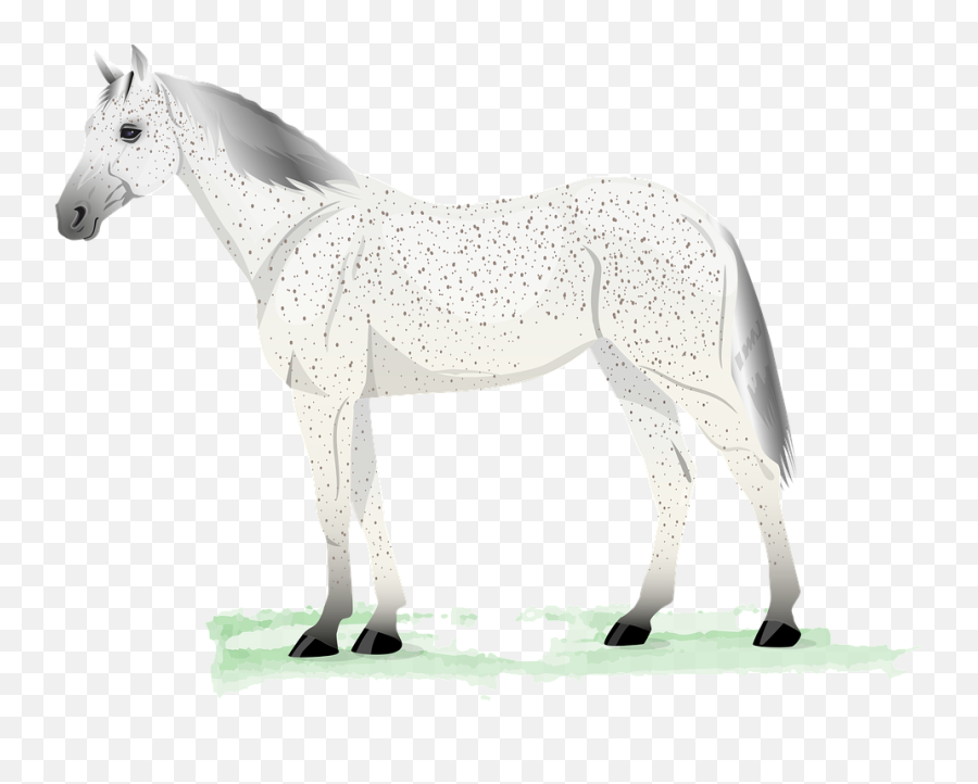 Horse White Animal Equine - Free Vector Graphic On Pixabay Emoji,White Horse Png