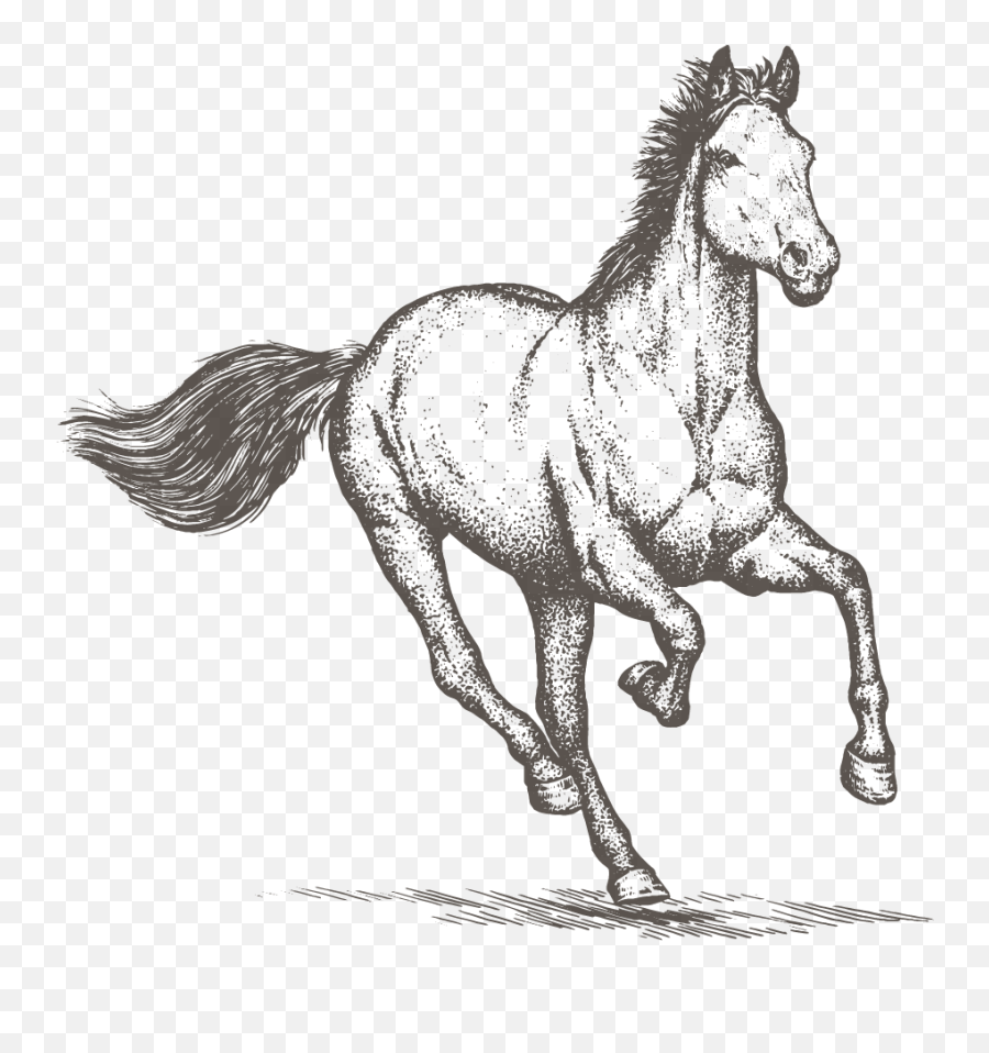 Horse Png Clipart 24 Image Download Vector Emoji,Smirk Clipart