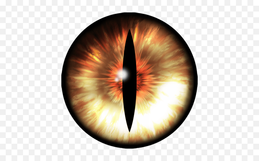 Download Eye Free Png Transparent Image - Iris Transparent Eye Png Emoji,Eye Png
