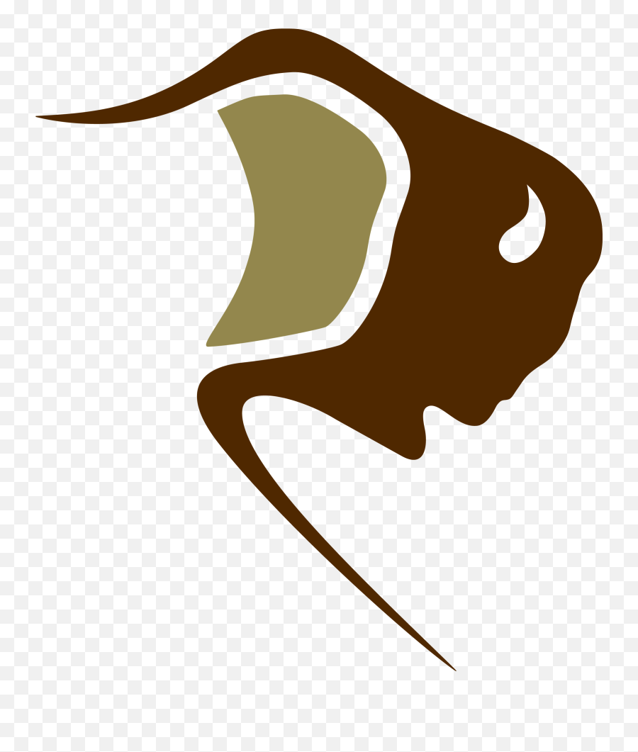 Bison Transport - Bison Transport Logo Emoji,Bison Logo