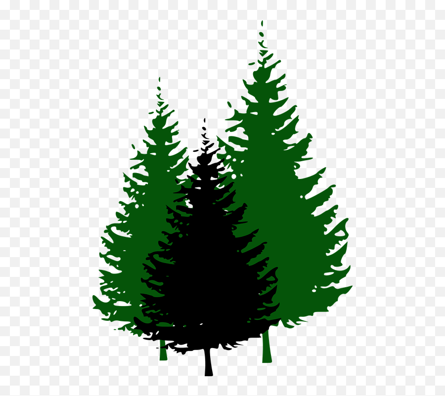 Library Of Christmas Tree Forest Svg - Evergreen Trees Clipart Emoji,Forest Clipart