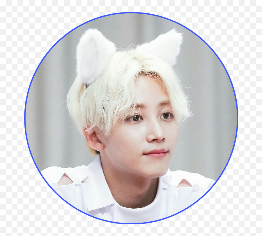 Jeonghan Cat Ears Transparent Png - Jeonghan Seventeen Head Sticker Emoji,Cat Ears Transparent