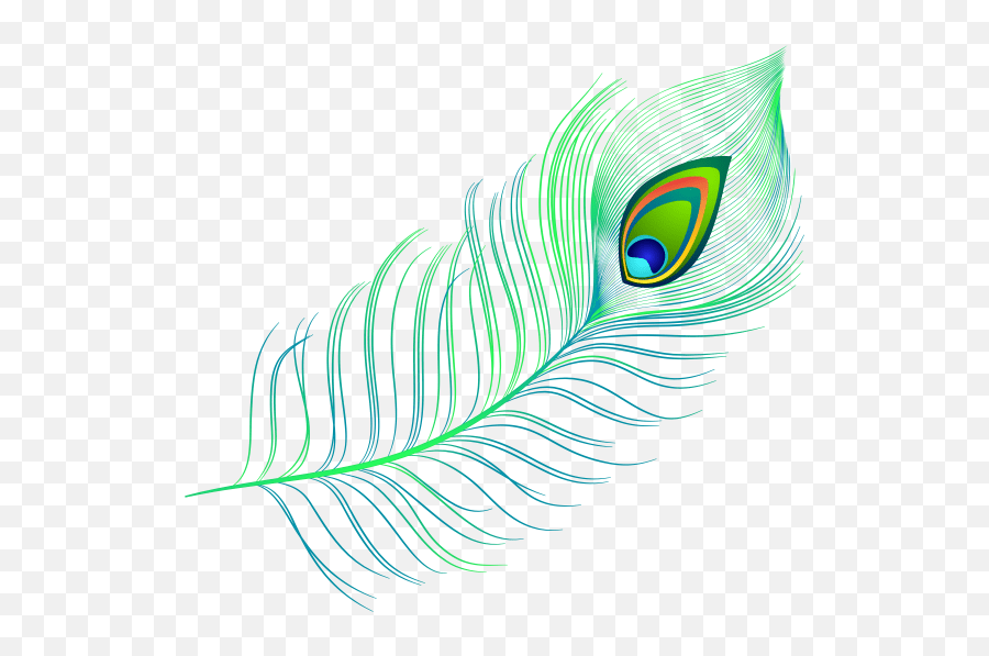 Decorative Peacock Feather Png Clipart - Picock Feather Clipart Png Emoji,Feather Clipart
