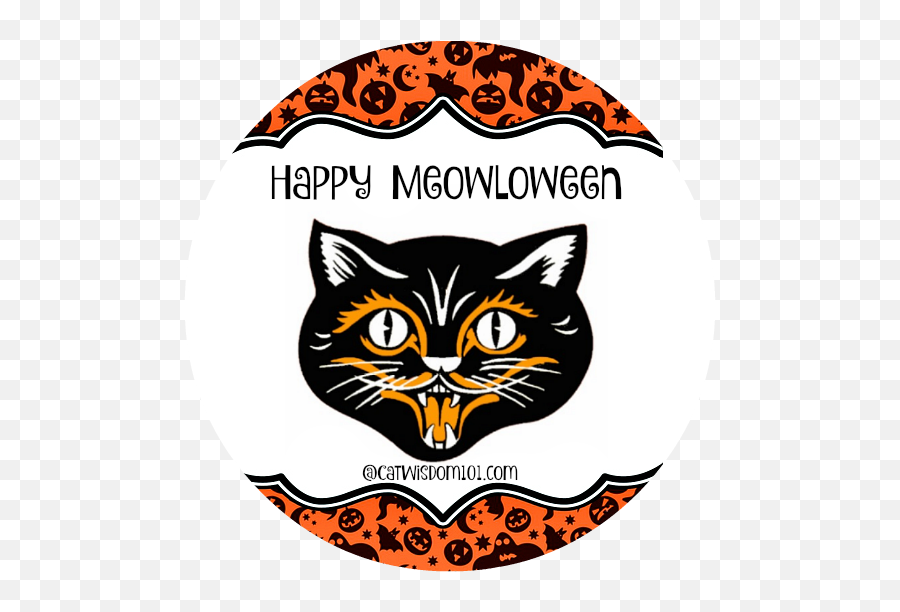 Meowloween Magic Cats And Prizes - Vintage Halloween Cat Vintage Cat Face Clipart Halloween Emoji,Cat Face Clipart