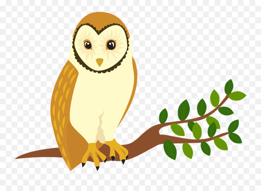 Free Photo Tree Animal Bird Owl Forest - Barn Owl Clipart Png Emoji,Forest Clipart