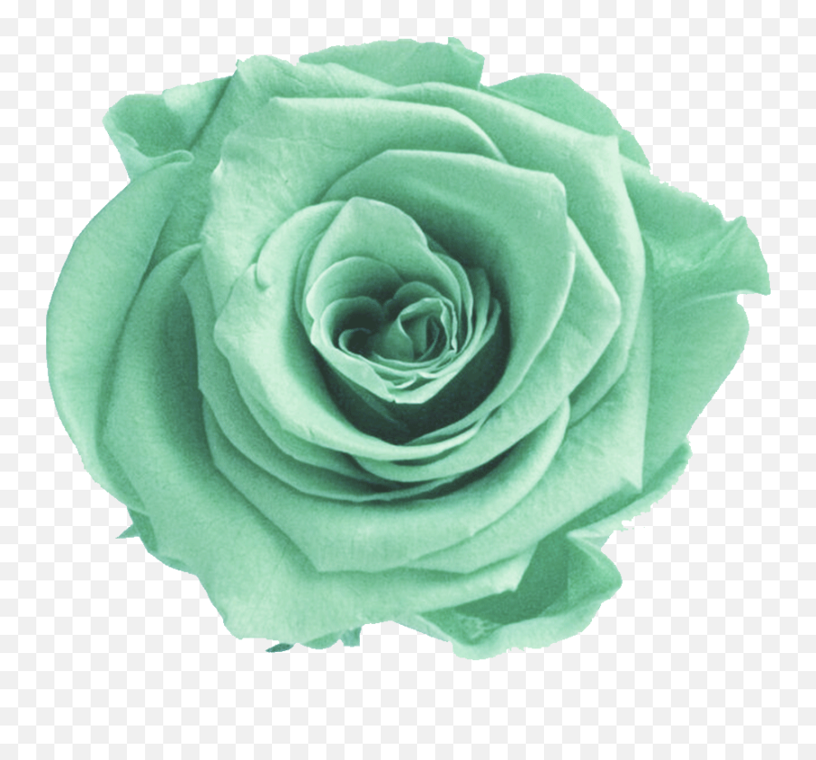 Download Mint Transparent Flower Crown - Mint Green Flower Mint Green Flower Png Emoji,Flower Transparent