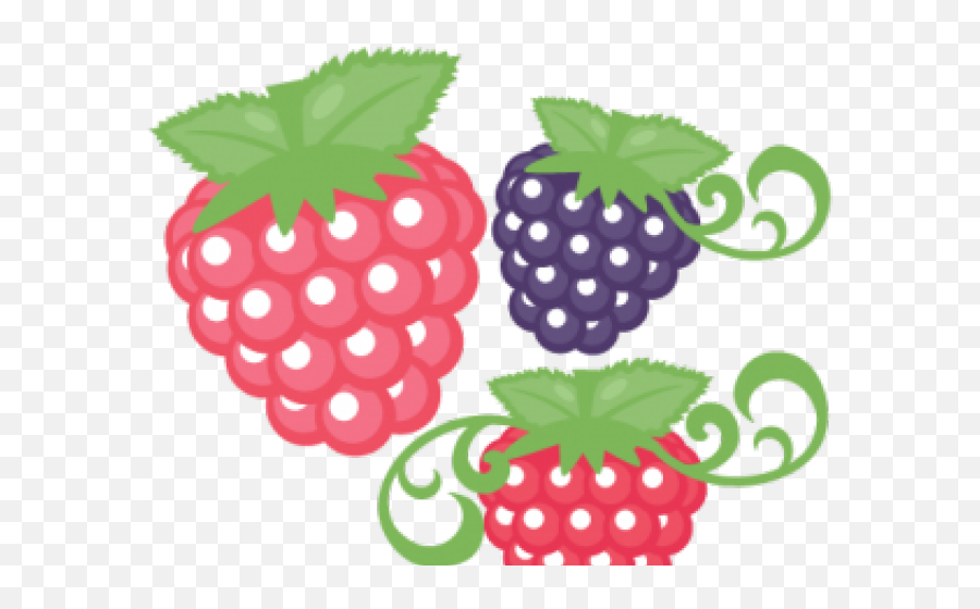 Raspberries Clipart Cute - Raspberry Fruit Pencil Art Png Emoji,Cute Pencil Clipart