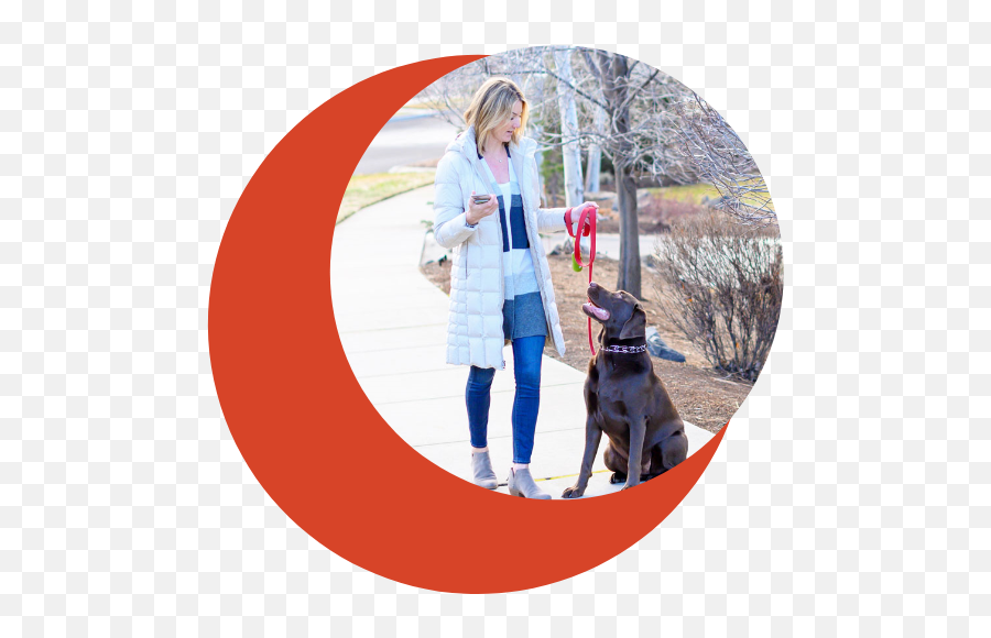 Home Security And Automation Oregon - Innovate Security For Emoji,People Walking Dog Png