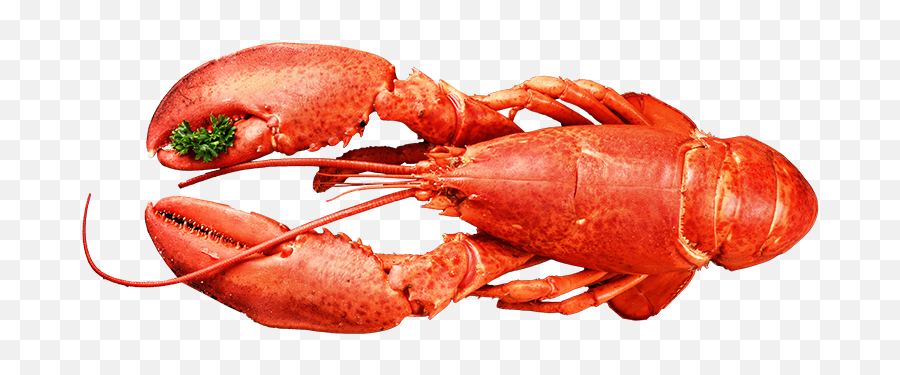 Download Lobster Top Seafood - Seafood Full Size Png Image Emoji,Lobster Transparent Background