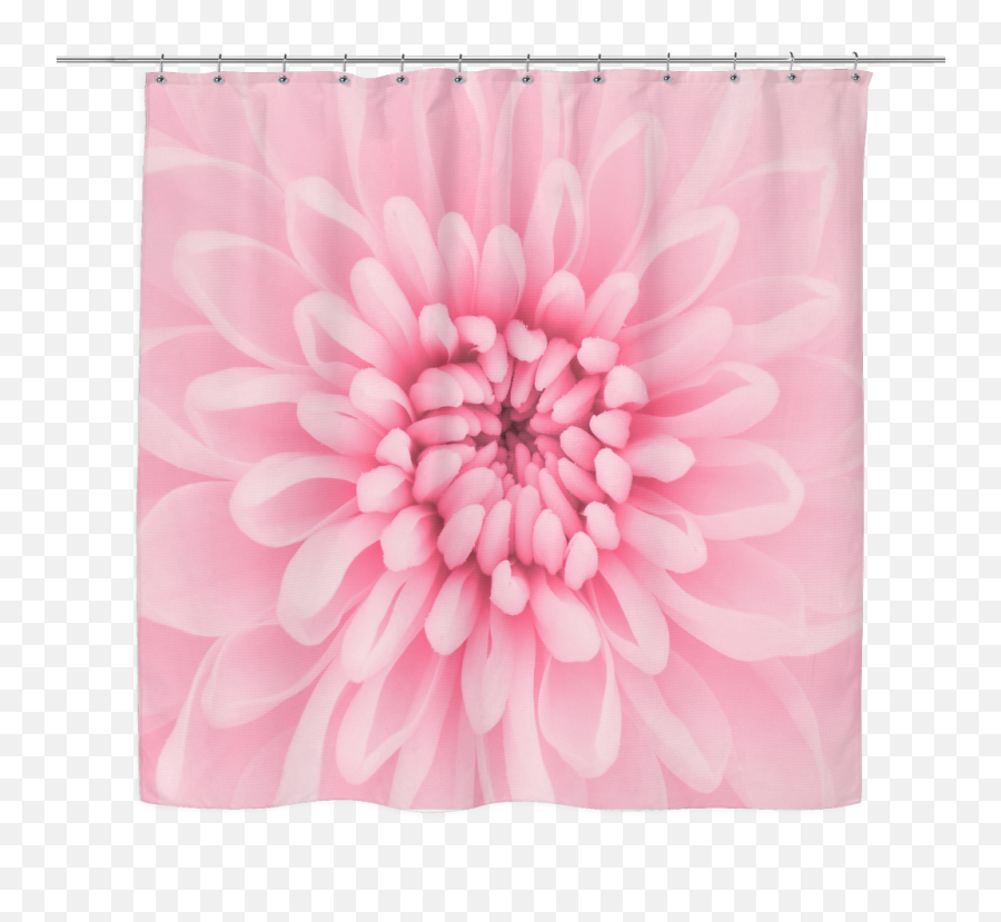 Chrysanthemum Flower Shower Curtain Emoji,Transparent Shower Curtain With Design