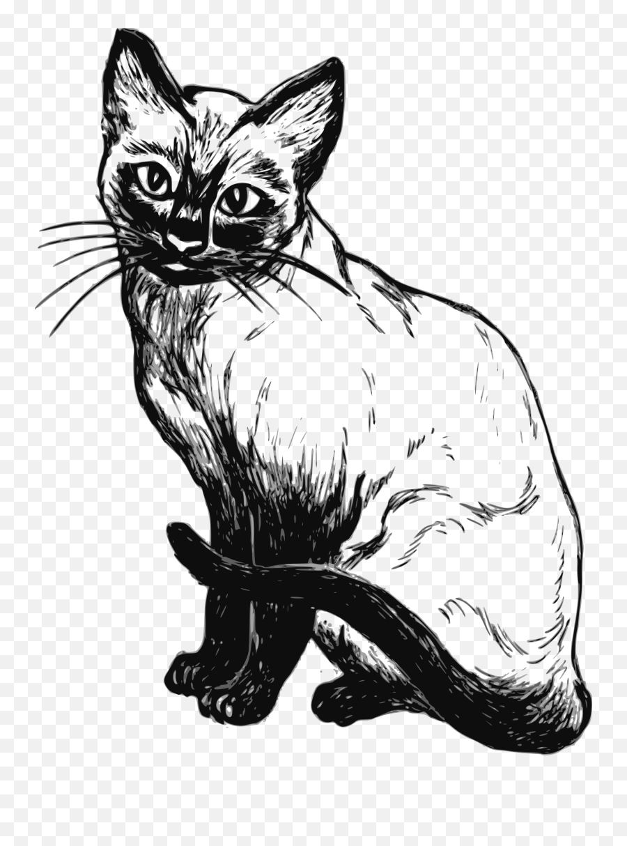 Cat Png Clipart 28 Image Download Vector - Gato Siames Pintura Dibujo Emoji,Black Cat Png