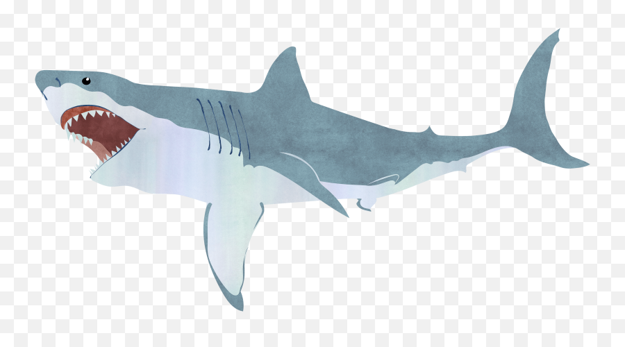 Free Download Shark Illustration - Shark Illustration Png Transparent Emoji,Shark Transparent