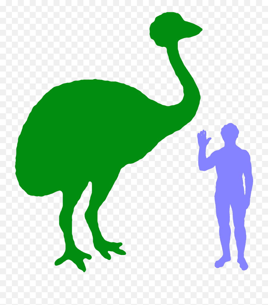 Ostrich Clipart Tall Animal - Penguin Vs Human Transparent Avisaurus Size Emoji,Tall Clipart